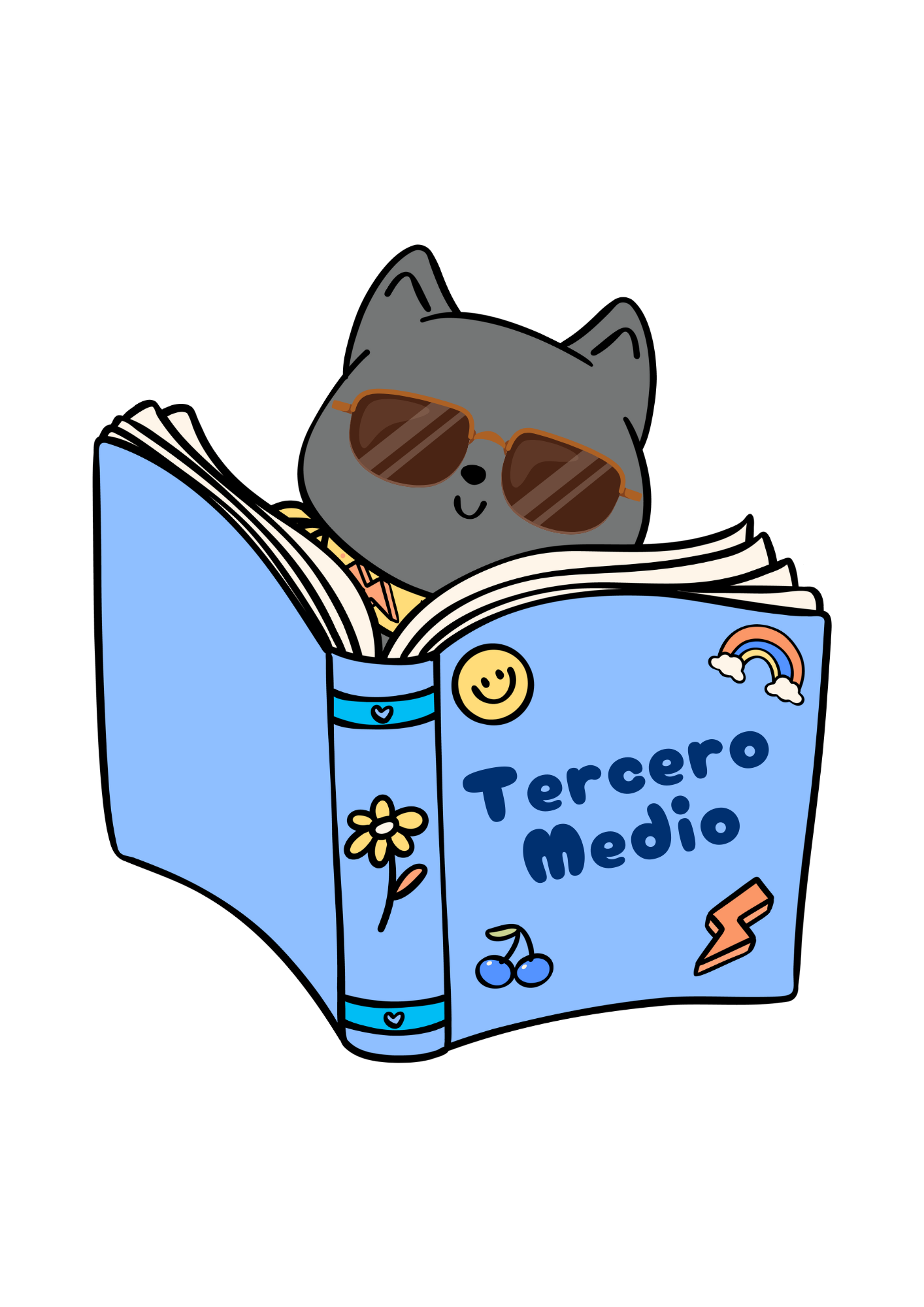 Pack Textos Tercero Medio 2026