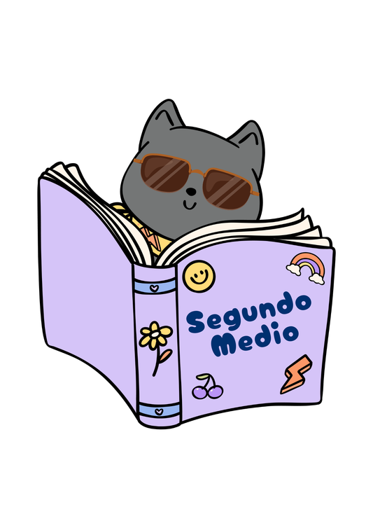 Pack Textos Segundo Medio 2026