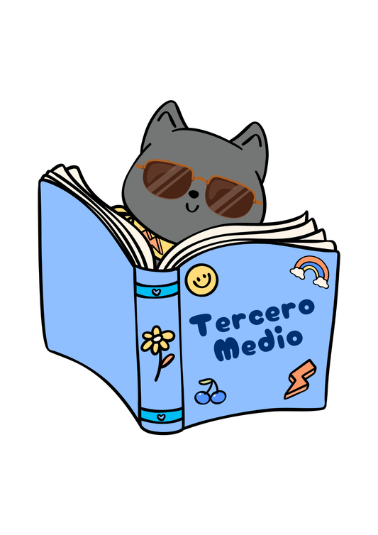 Pack Textos Tercero Medio 2026
