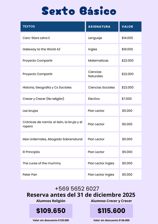 Pack Textos 6° Básico — Colegio San Joaquín (2026)